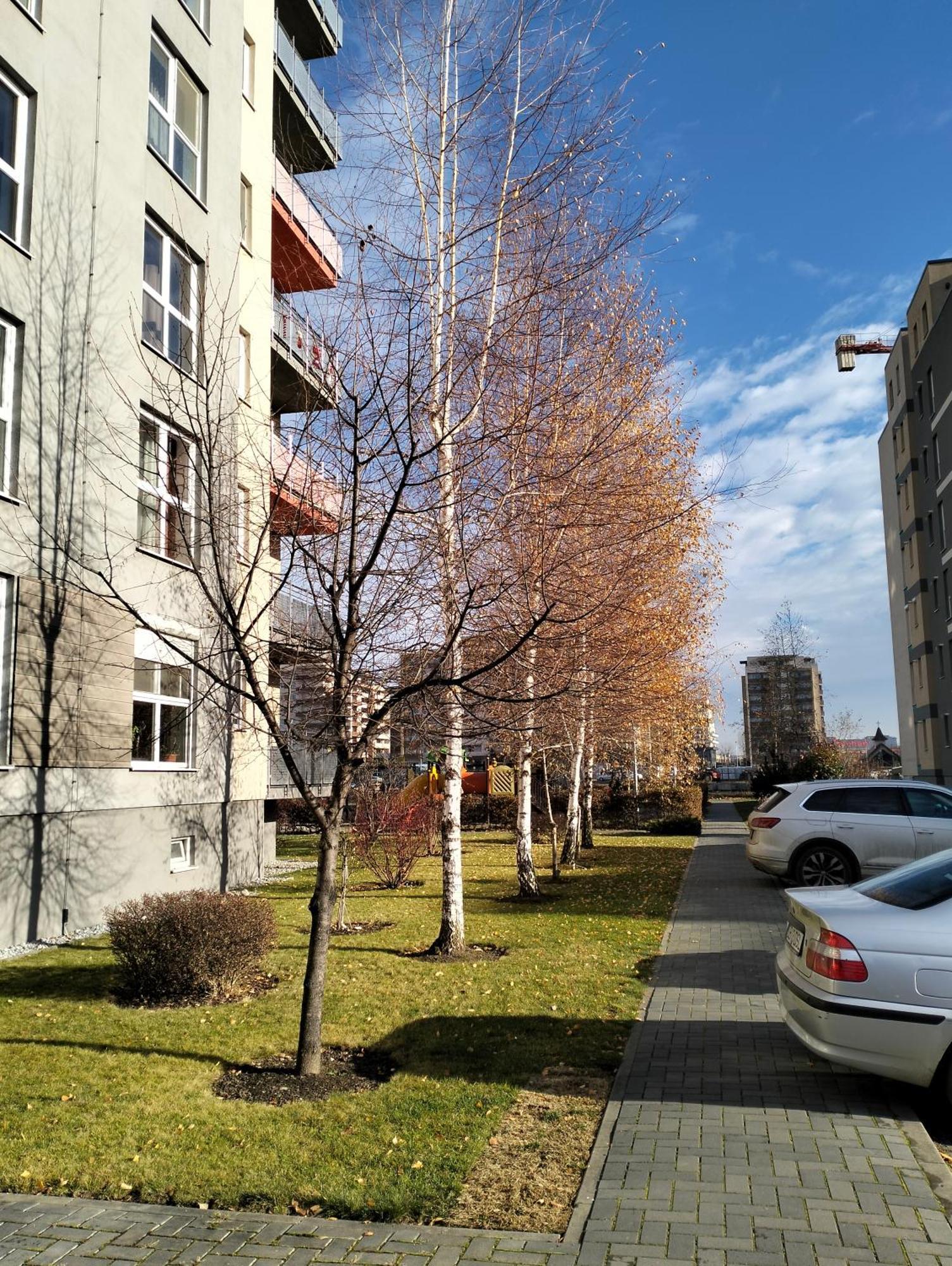 M&I Dream Stay Braşov Extérieur photo